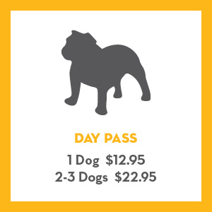 pricing-image-1