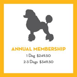 pricing-image-3