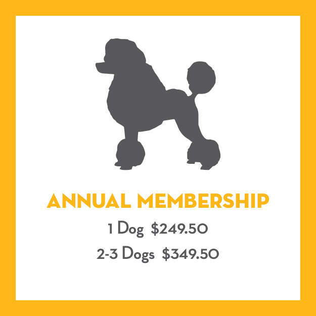 All_Access_Yearly_Pass