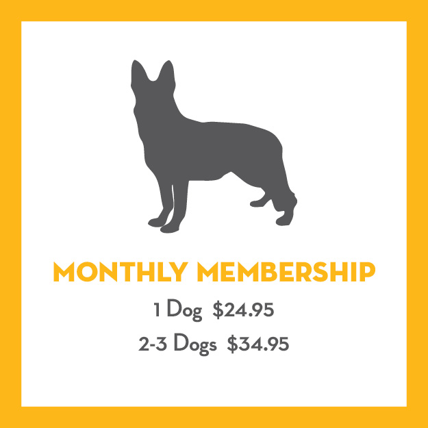 Monthly_Pass