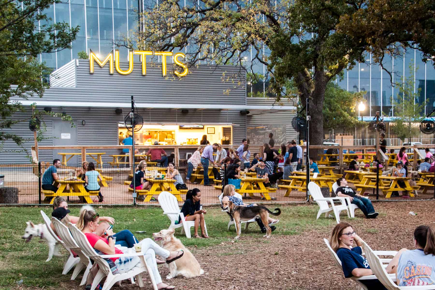 Mutts canine cantina storefront