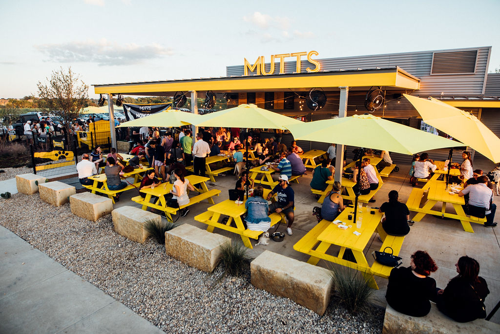 Mutts canine cantina storefront